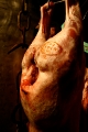 a study in maturing flesh