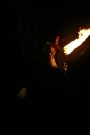 narrating the wassail