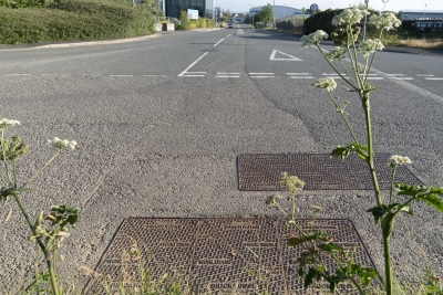 Bude WorldCom CableScars